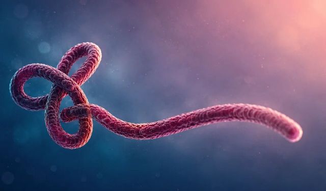 Dünya ciddi bir viral kuşatma altında! Prof. Dr. Gürüz’den yeni salgın uyarısı!