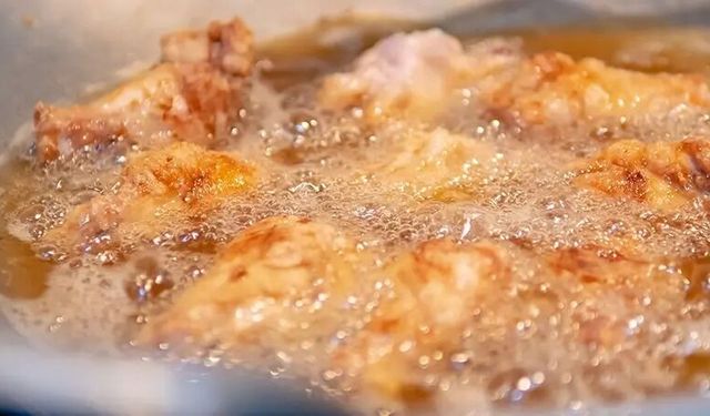 Ege Üniversitesi’nden Orta Asya’da trans yağ hamlesi