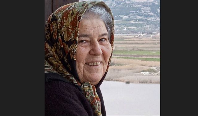 Domates yüklü tır ile otomobil çarpıştı: 1 ölü, 2 yaralı