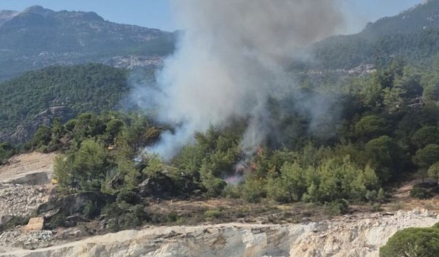 Muğla’da orman yangını!