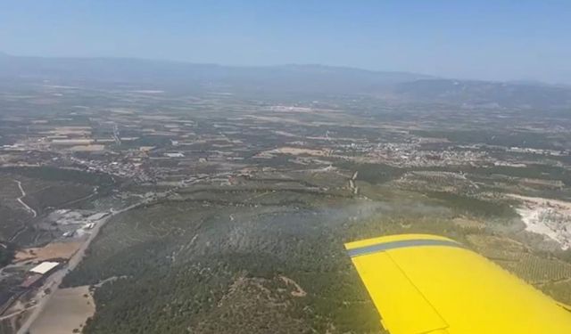 Manisa’daki orman yangınında son durum: Valilikten açıklama