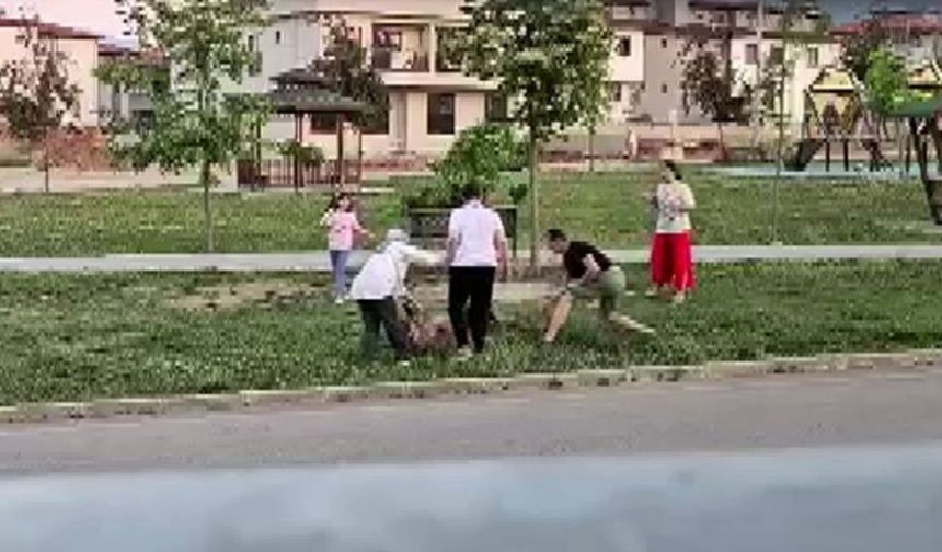 Parktaki köpek saldırısını çekiçle engelleyen doktor konuştu