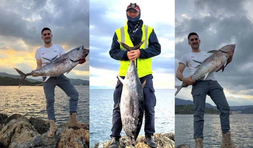 İzmir kıyılarında inanılmaz olay: Kıyıdan dev orkinos yakalandı!