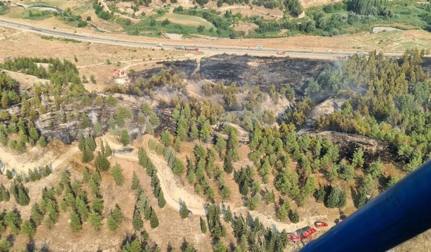 Denizli’de korkutan orman yangını