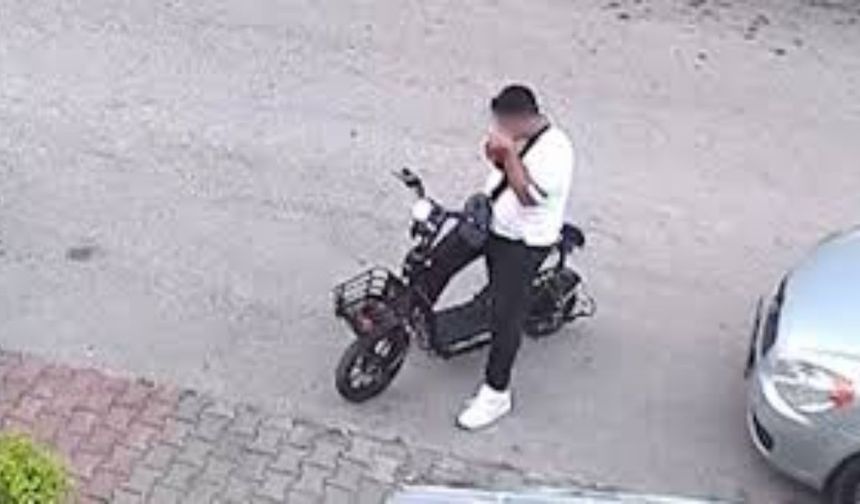 Vicdanlar bir kez daha yaralandı: Yavru kediyi boğarak öldürdü