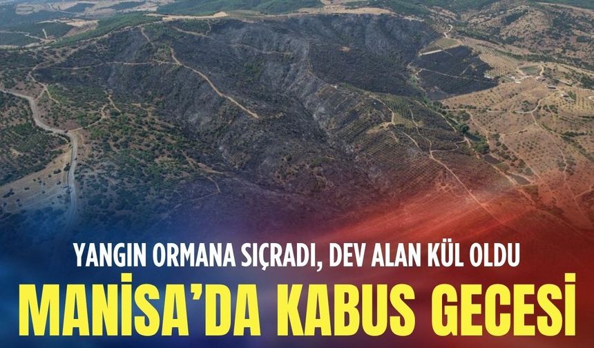Manisa’da kâbus gecesi: Yangın ormana sıçradı, dev alan kül oldu