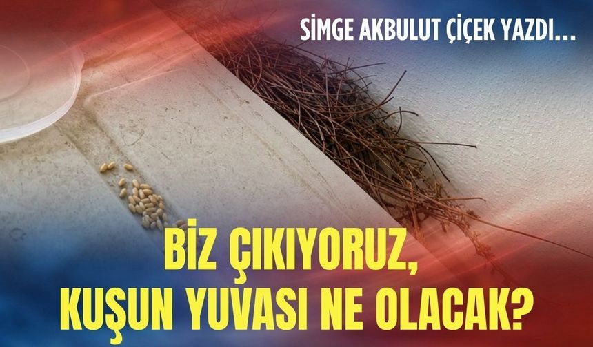 Biz çıkıyoruz, kuşun yuvası ne olacak?