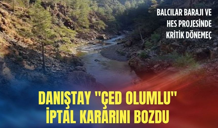 91 bin ağaç için kritik dönemeç: Danıştay 'ÇED olumlu' iptal kararını bozdu