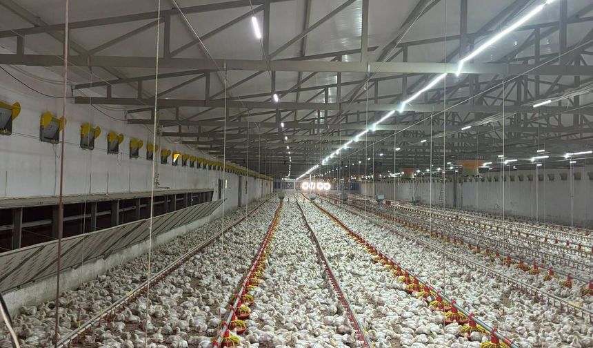Bekilli’de örnek yatırım
