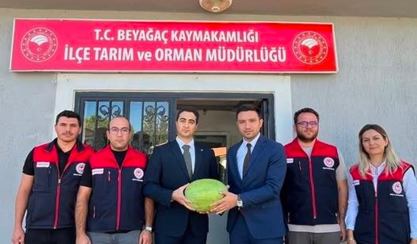 Beyağaç karpuzu için coğrafi işaret süreci başladı