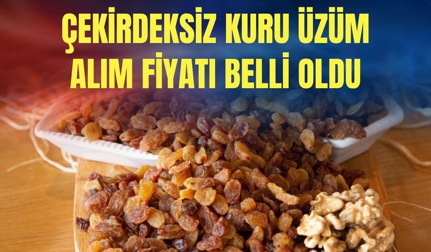 TMO çekirdeksiz kuru üzüm fiyatını açıkladı