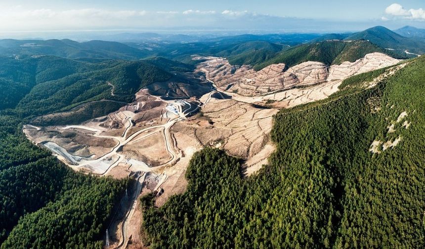 Kazdağları’nda skandal büyüyor: 230 bin ağaç kesildi, TÜMAD yargı kararı dinlemiyor