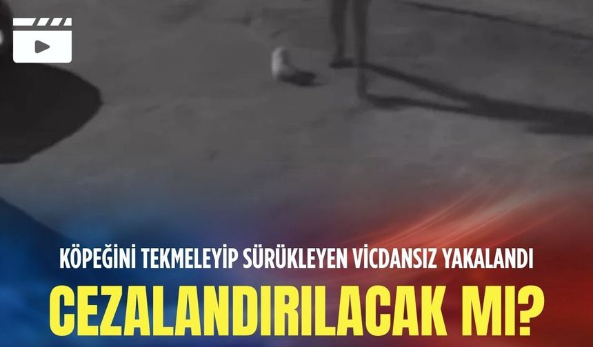 İzmir'de köpeğini tekmeleyip sürükleyen vicdansız yakalandı: Cezalandırılacak mı?
