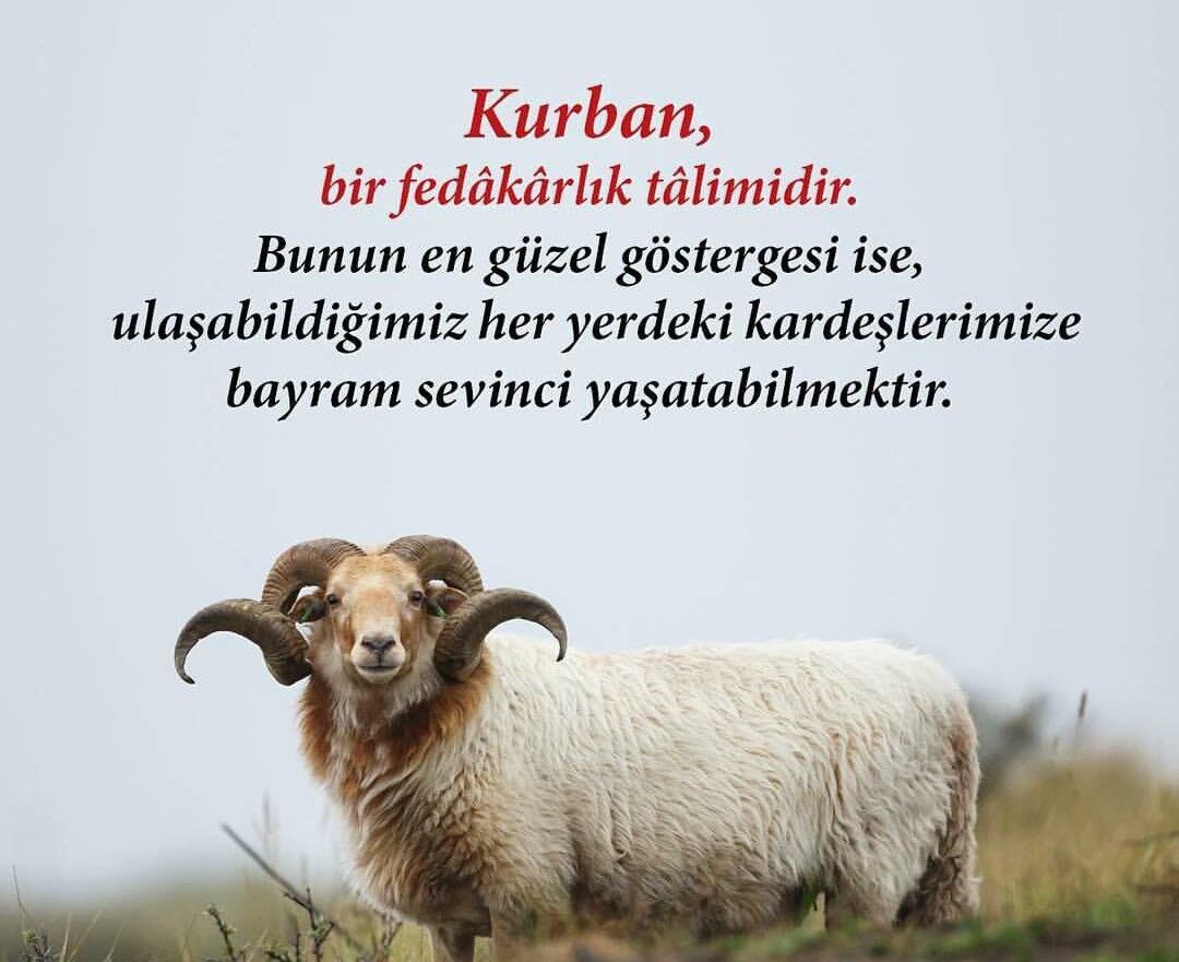 2026 Kurban Bayramı Kutlama Mesajları (1)-1