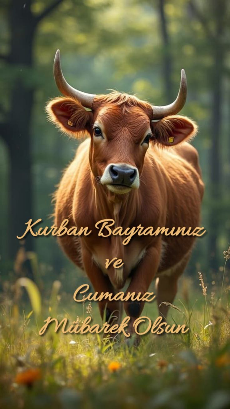 2026 Kurban Bayramı Kutlama Mesajları (3)