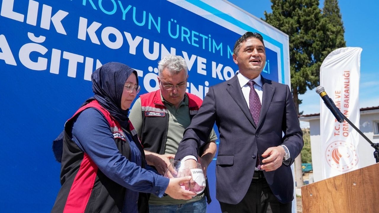 Aliağa Küçükbaş Desteği 1
