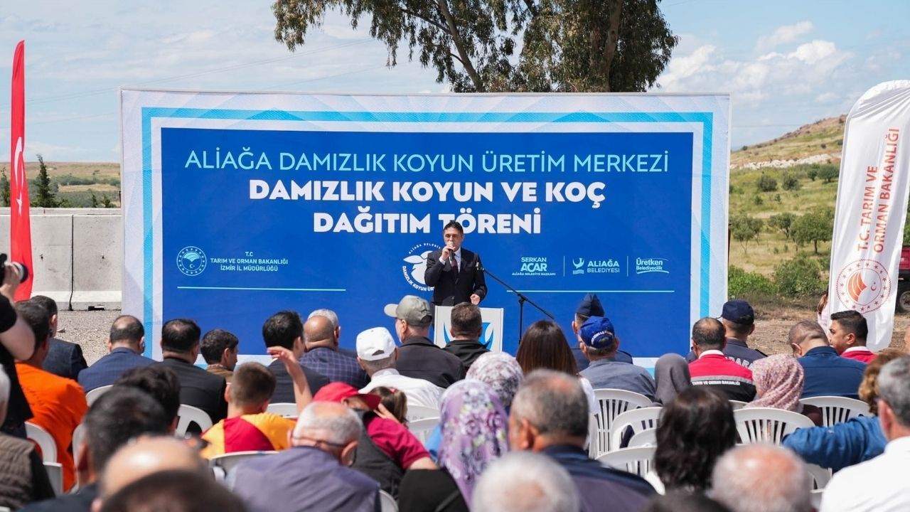 Aliağa Küçükbaş Desteği 2
