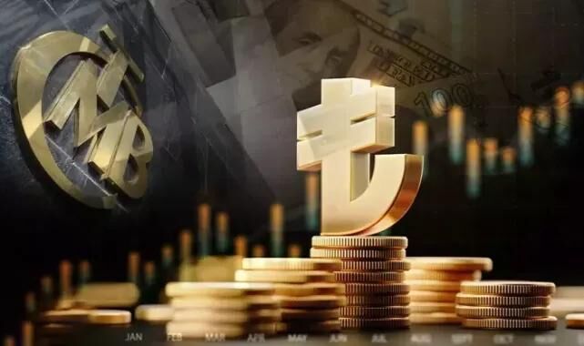 Merkez Bankası Rezerv 1