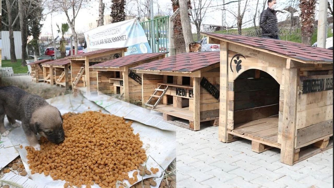 Merkezefendi Belediyesi Operasyon 1