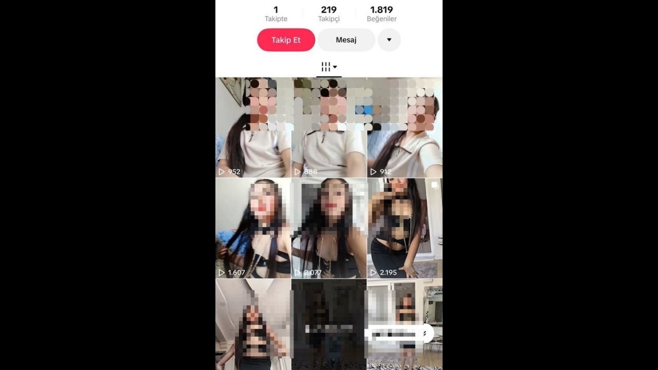 Tiktok Paylaşım 1