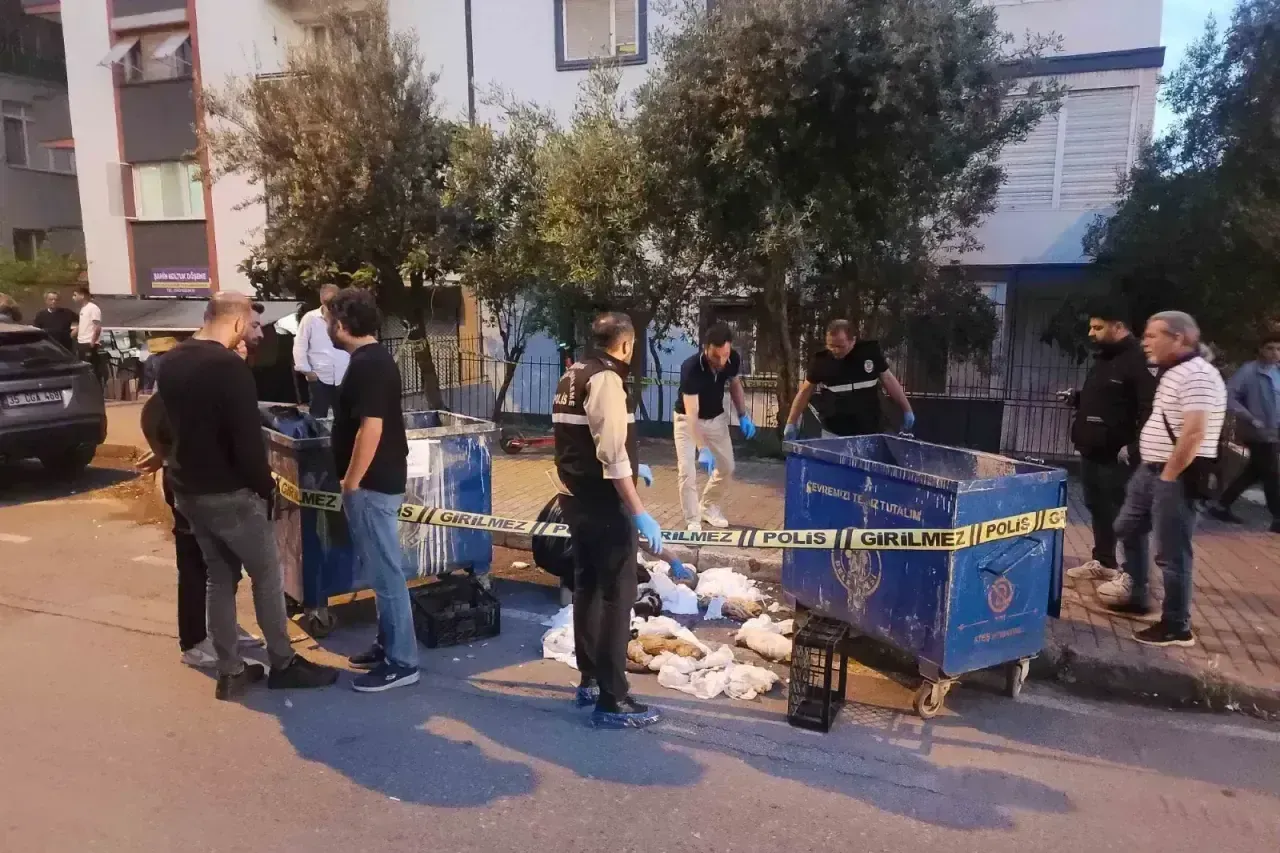 Çöpteki 33 Kedinin Sorumlusu Yeniden Gözaltında! 2