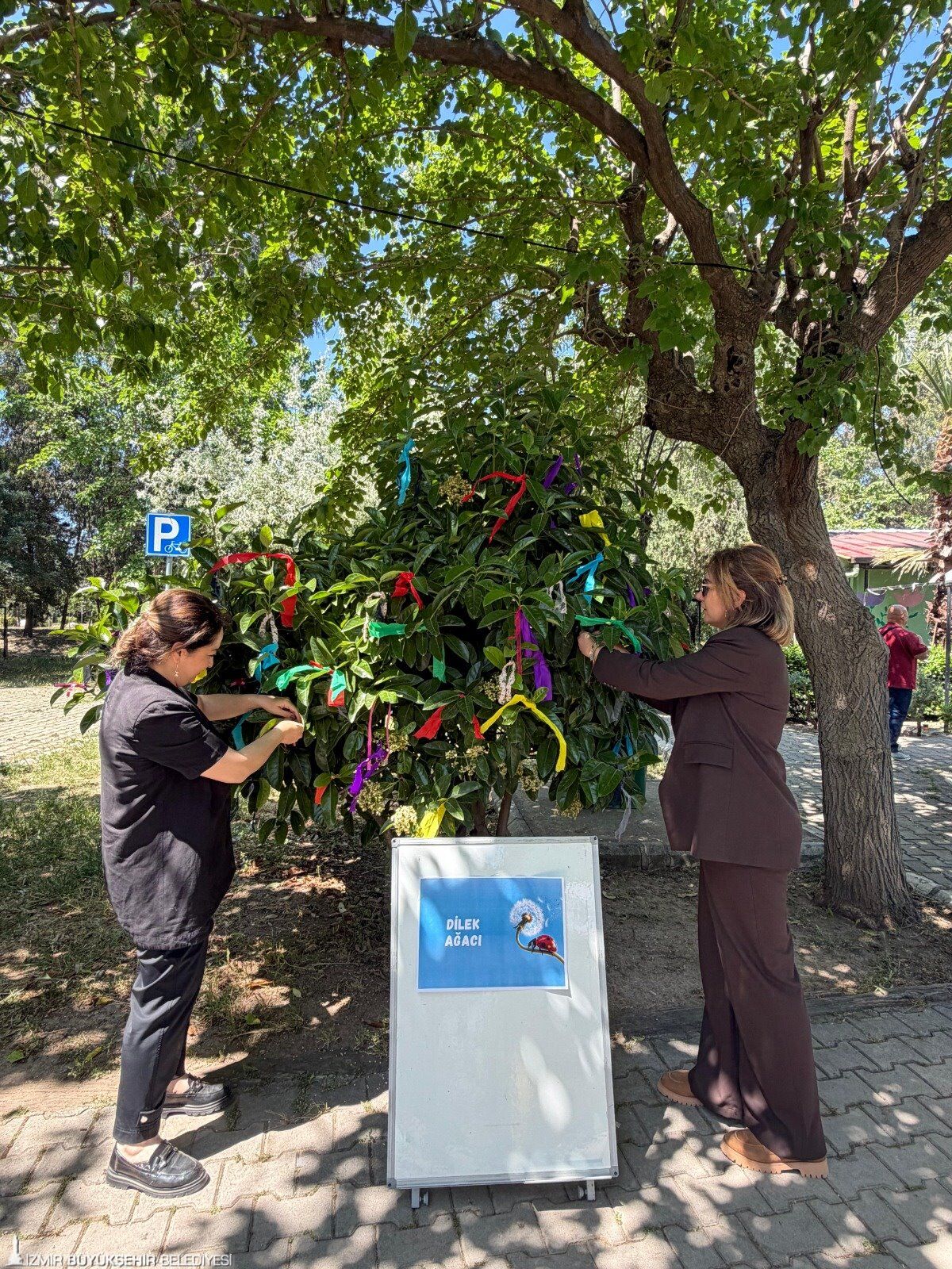 İzmir'de Engeller Hep Birlikte Aşıldı 2