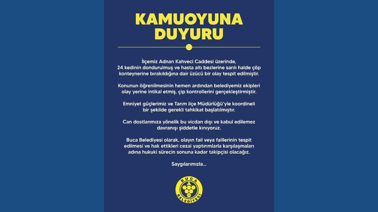 Vicdansızlığın böylesi! Buca'da 24 kedi işkenceyle öldürüldü