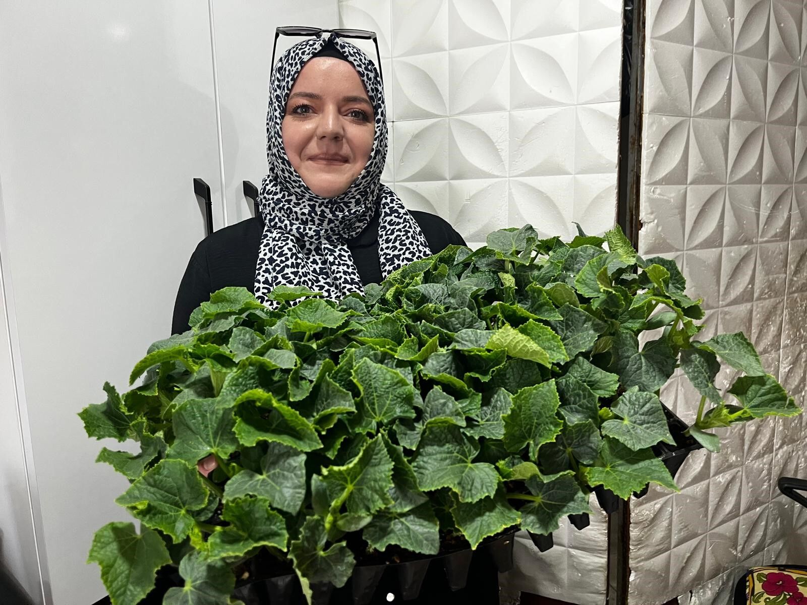 Toprak Yumuşadı Fideye Talep Arttı (4)