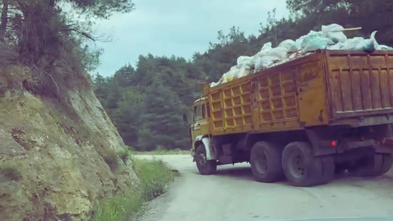 Ormana kaçak hafriyat skandalı! Muhtar suçüstü yakaladı