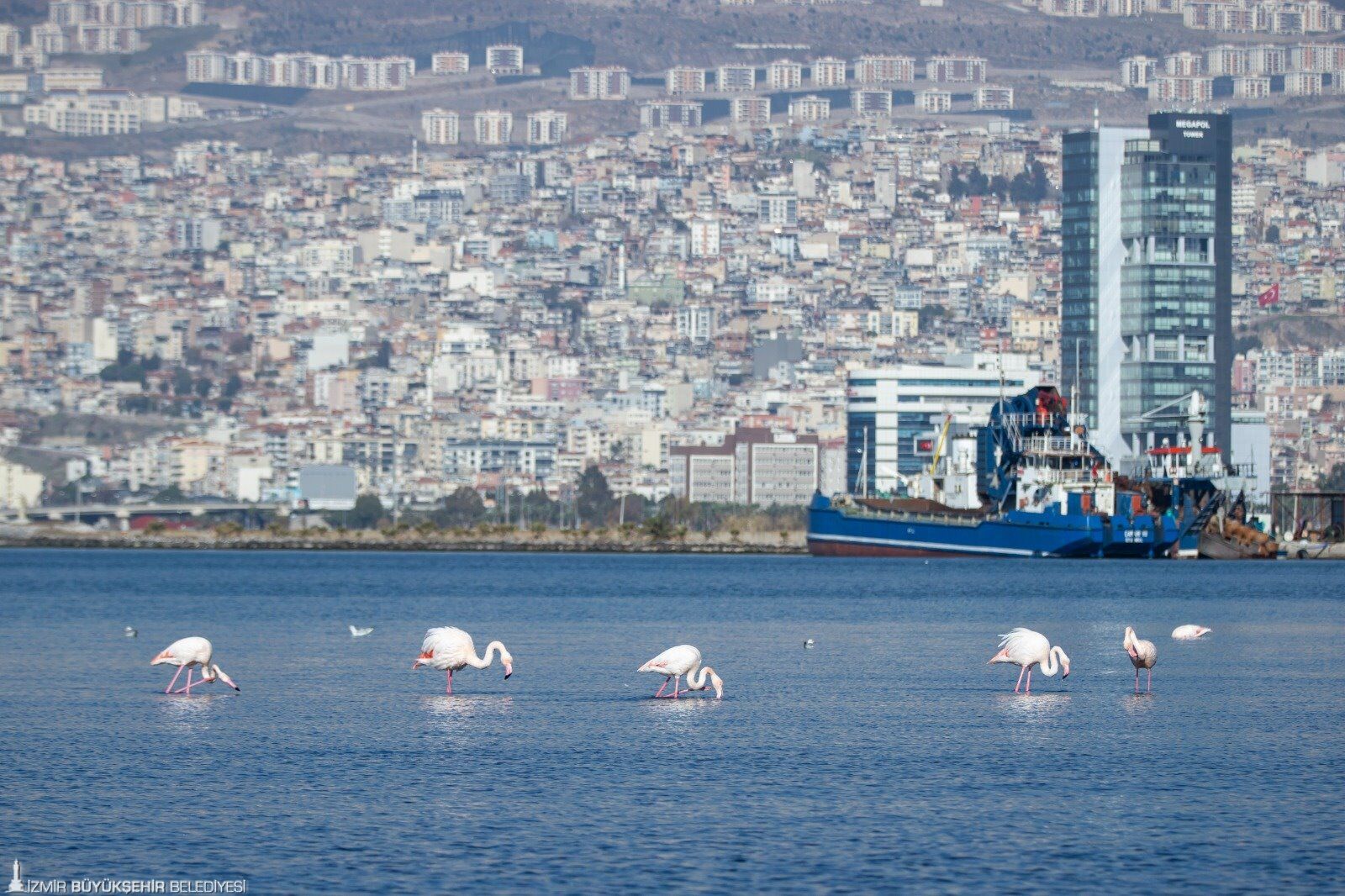 Yeni Tescille “İzmir Yenileniyor” 1