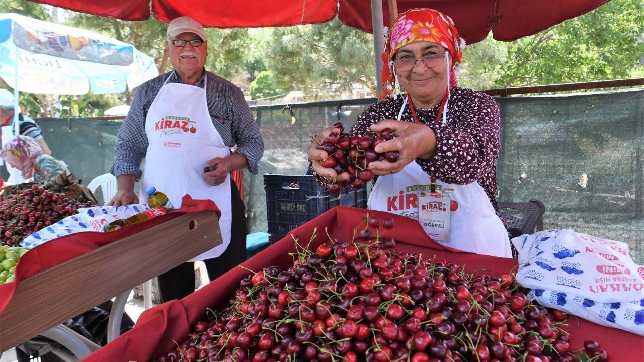Bornova Beşyol Kiraz 1