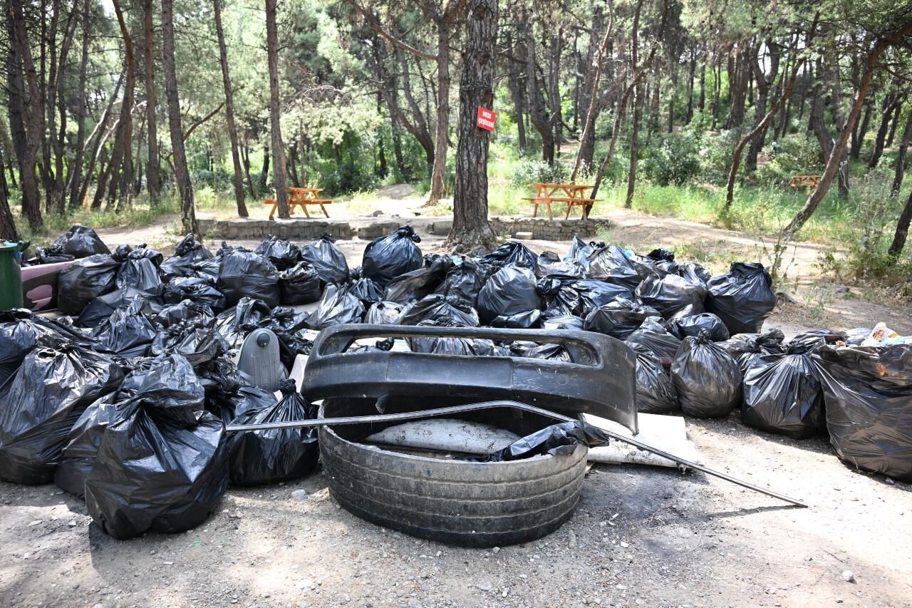 Çiftlik Park Mesire Alanı’nda Çevre İçin El Ele Verildi (1)