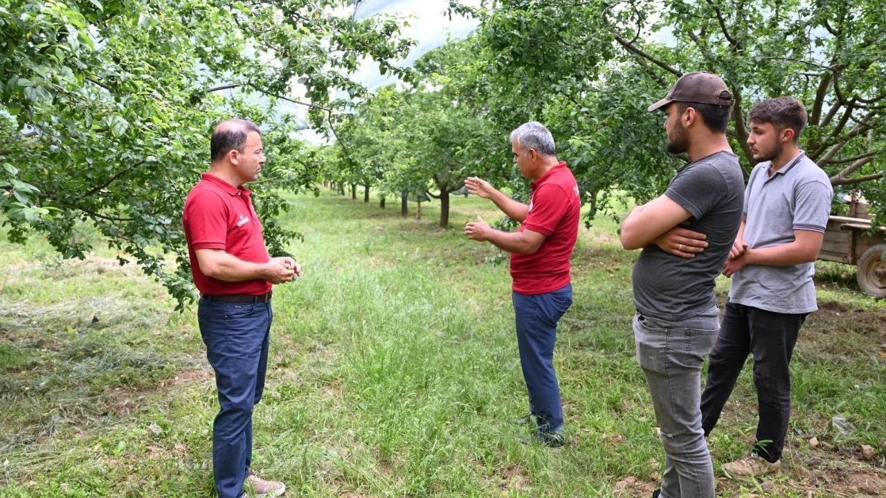 Denizli İl Tarım 1