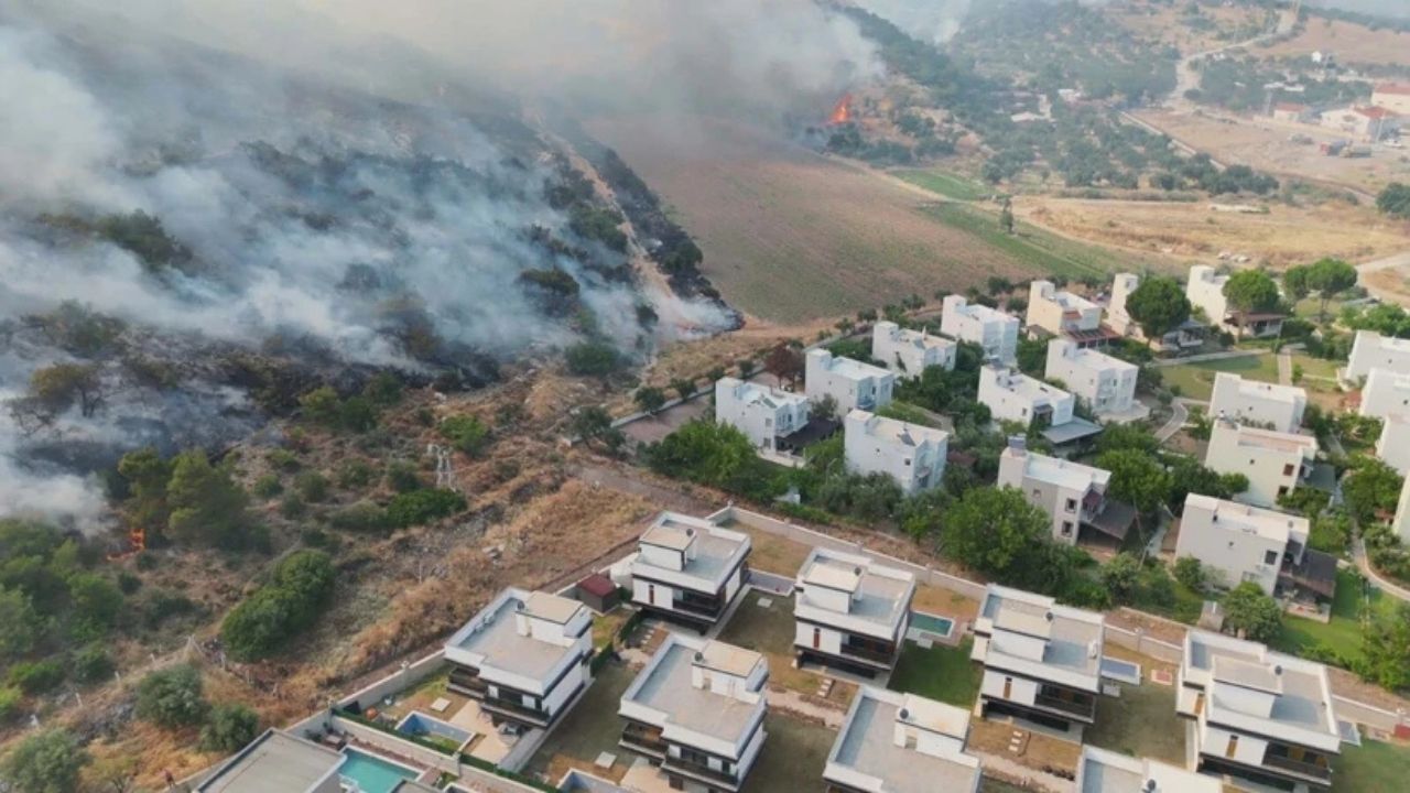 Dikili Alev Yangın 3