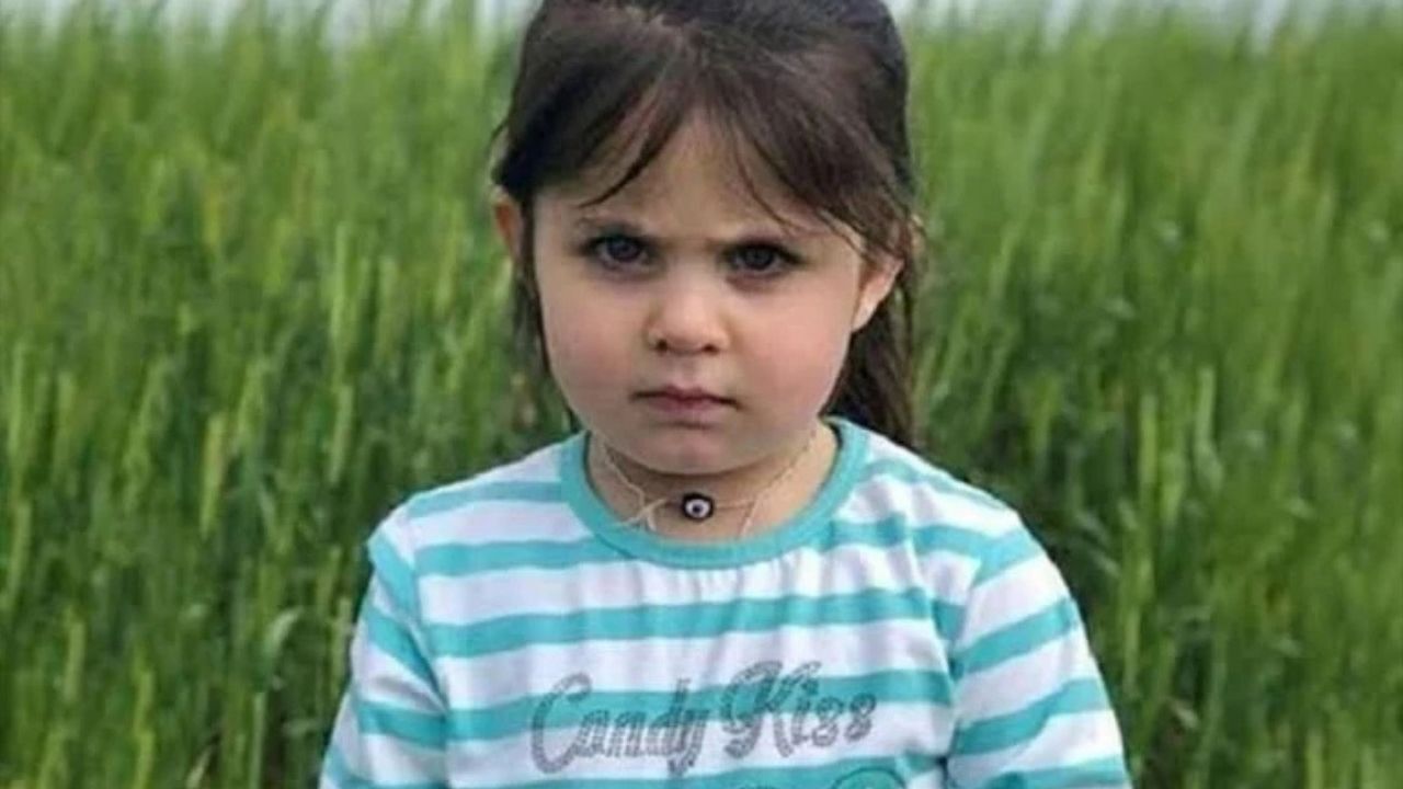 Leyla Aydemir Davası 2
