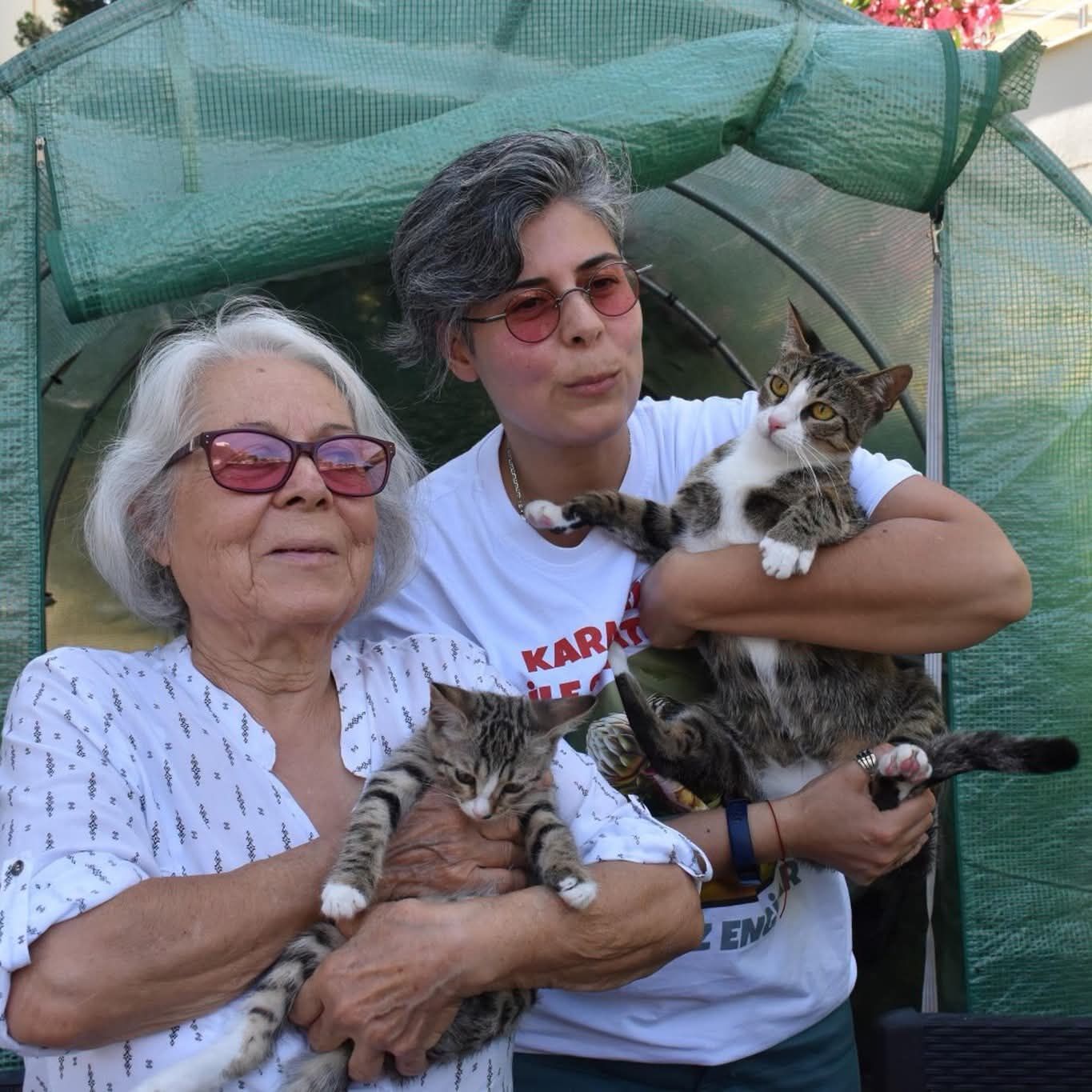 6 Milyonda 1 Görülen Mucize! Erkek Sandıkları Kedi Doğum Yaptı (1)