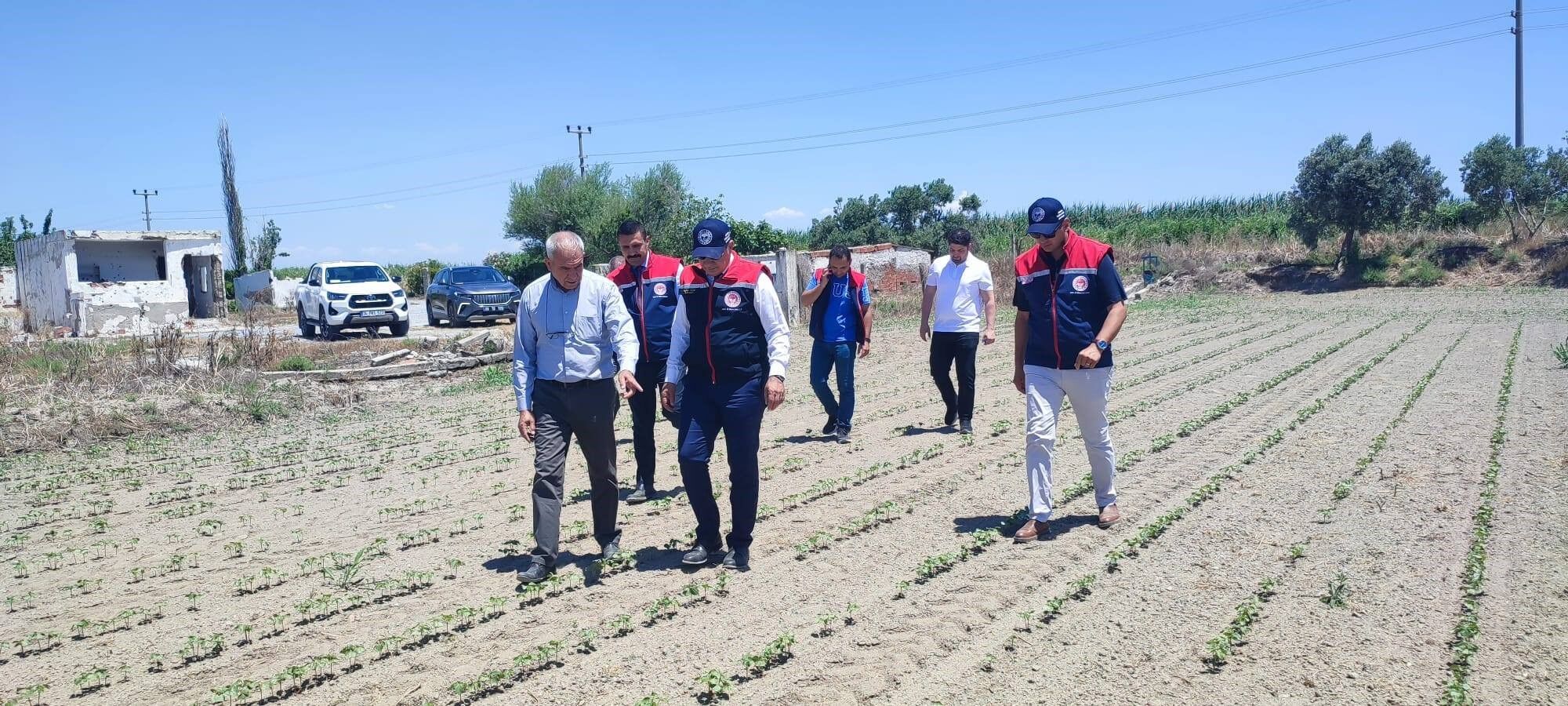 Beyaz altında yeni sezon heyecanı: Tarlada umut yeşeriyor