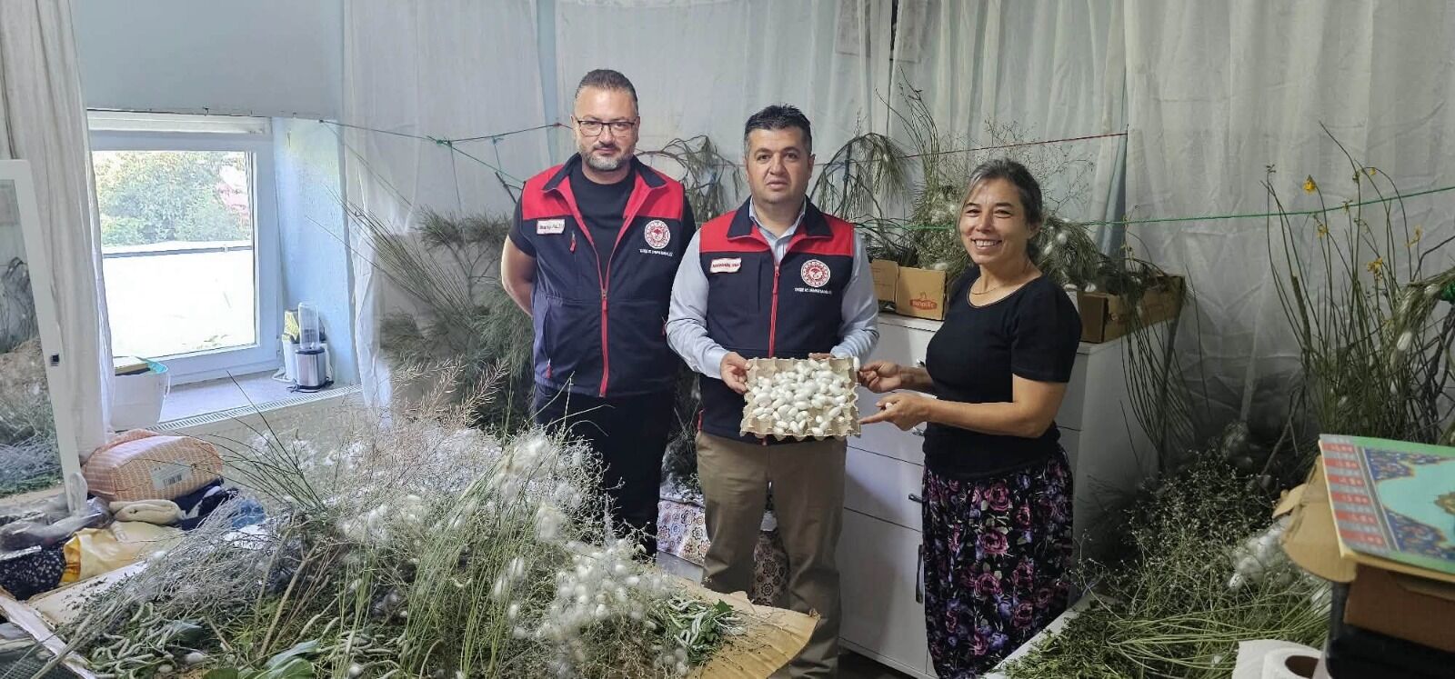 Acıpayam'da Kadın Eliyle Ipek Böcekçiliği (2)