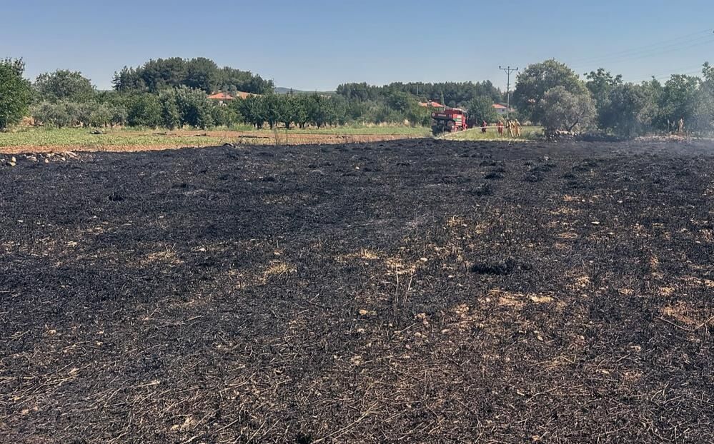 Arazi Yangınları Büyümeden Söndürüldü 111