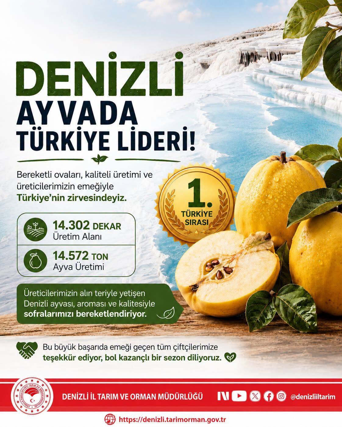 Ayva'nın Türkiye Lideri Denizli Oldu! (3)