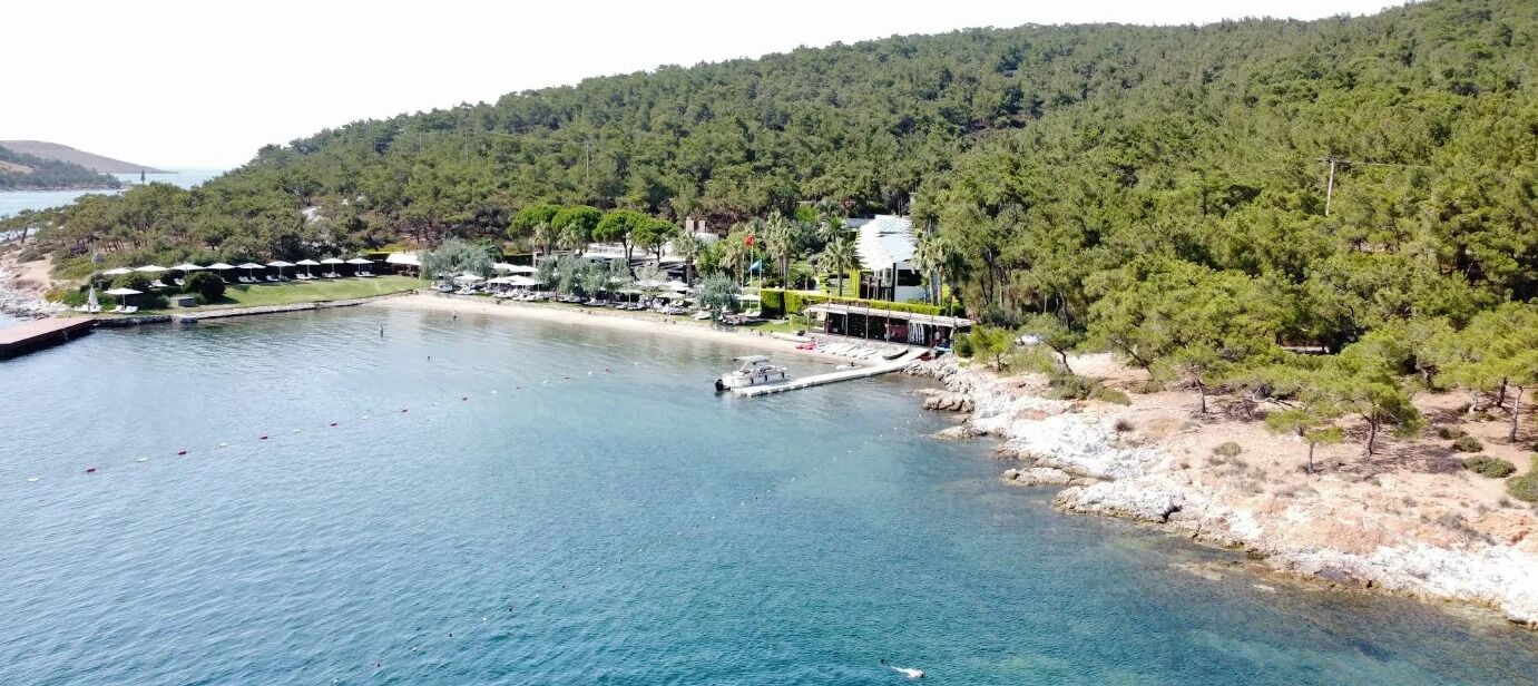 Balıkesir Ayvalık Ortunç Koyu (Arka Taraf)