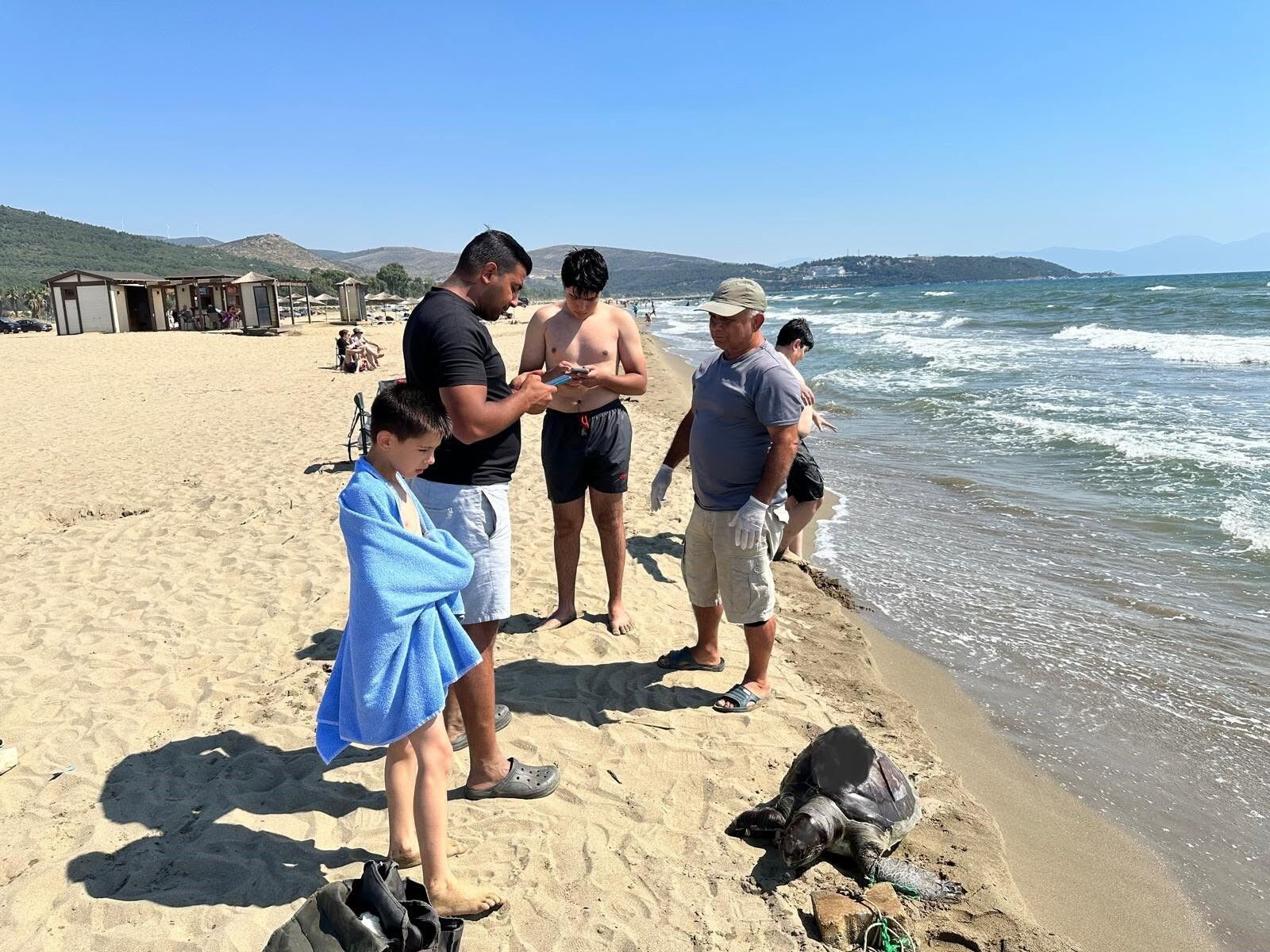 Deniz Kaplumbağasının Bacağına Parke Taşı Bağlamışlar! (4)