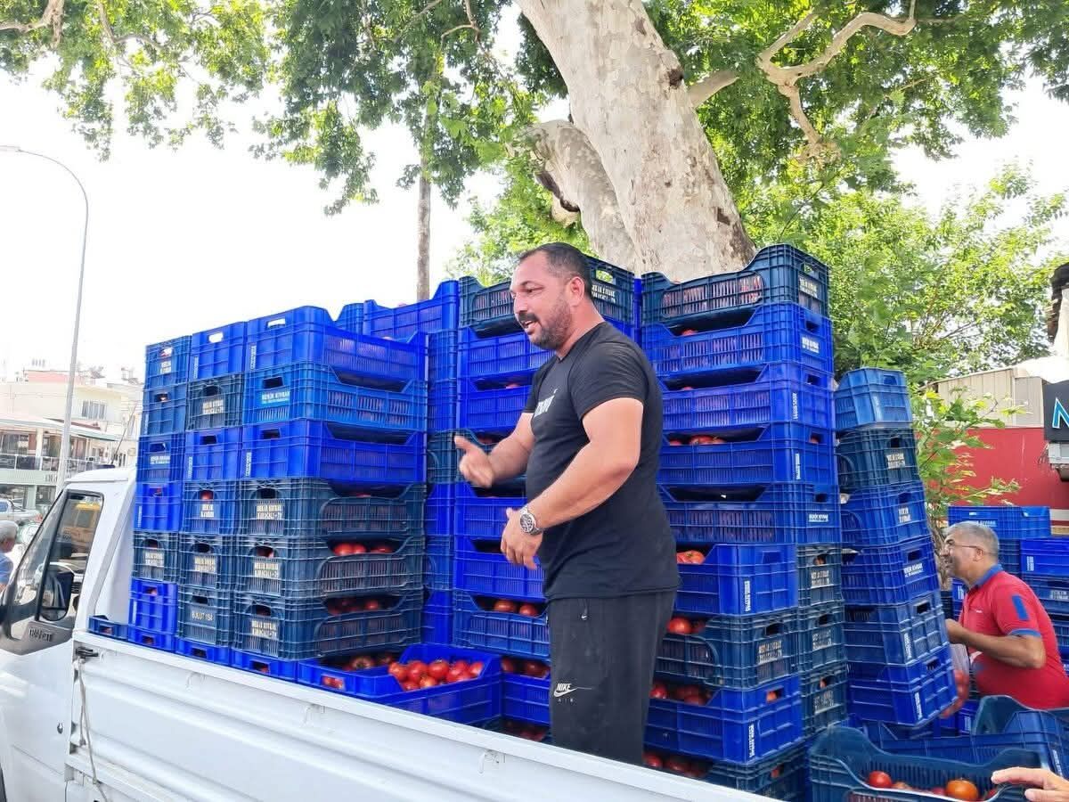 Domates Fiyatına Tepki Gösteren Çiftçi 4 Ton Ürünü Ücretsiz Dağıttı (1)