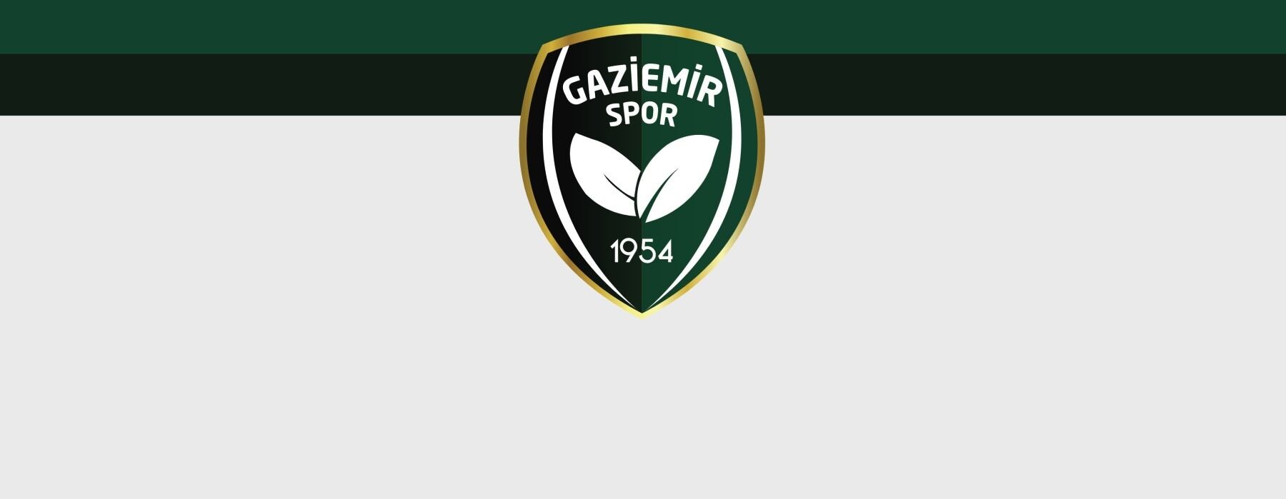 Gaziemit