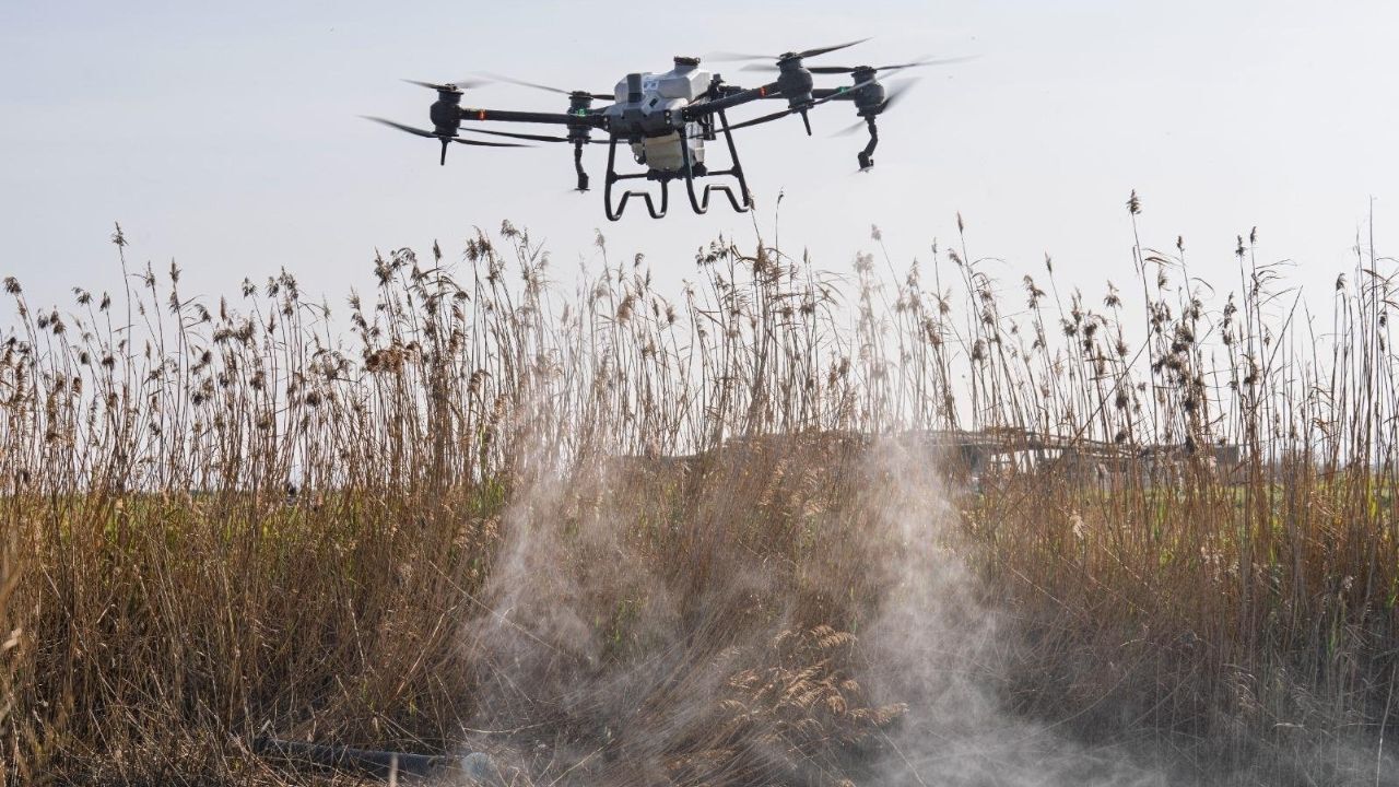 İzmir'de Sivrisineklere Drone Destekli Savaş (1)
