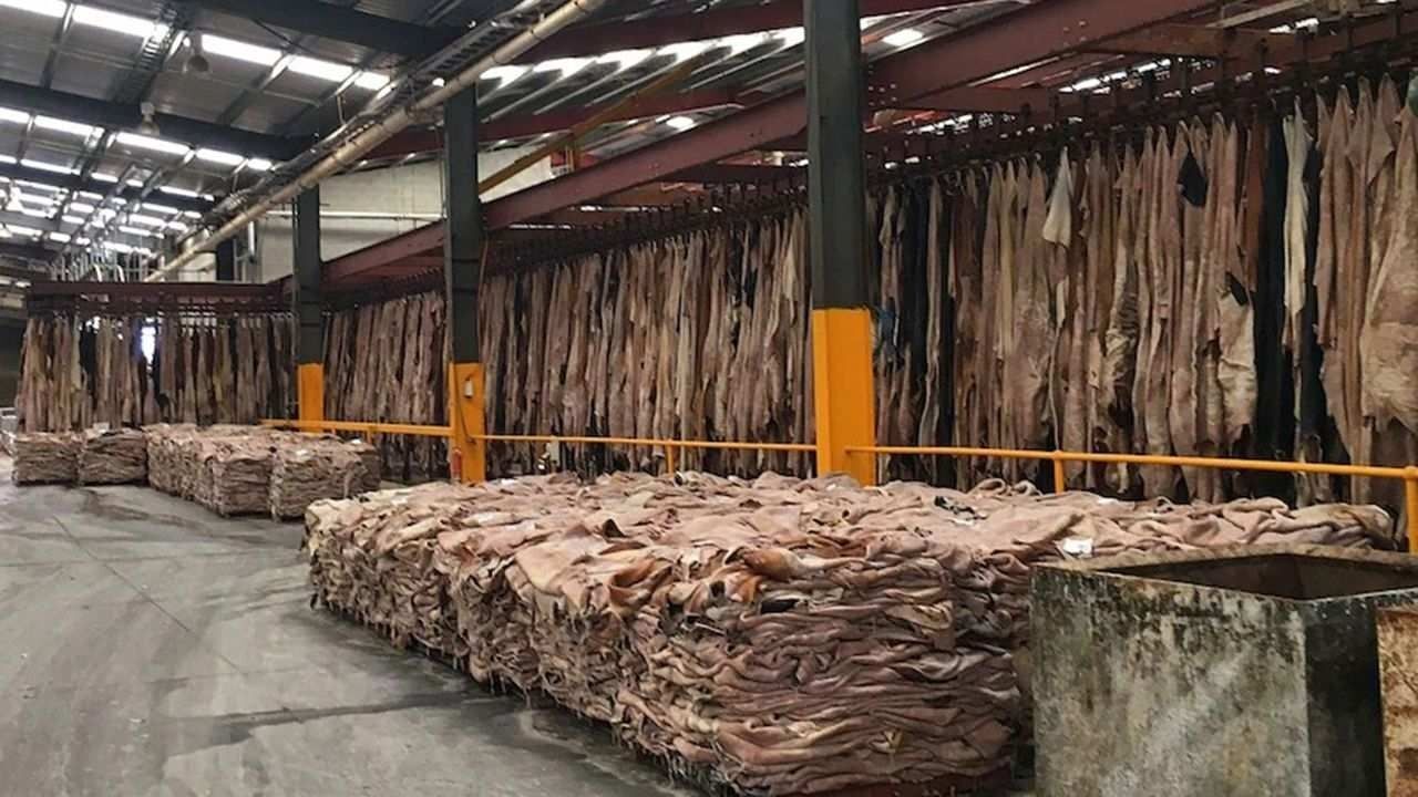Milli Servet Çöpe Atıldı Kaynaklar ‘Kurban’ Edildi (2)