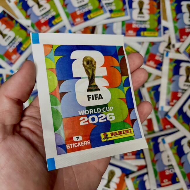 Panini Sticker (2)
