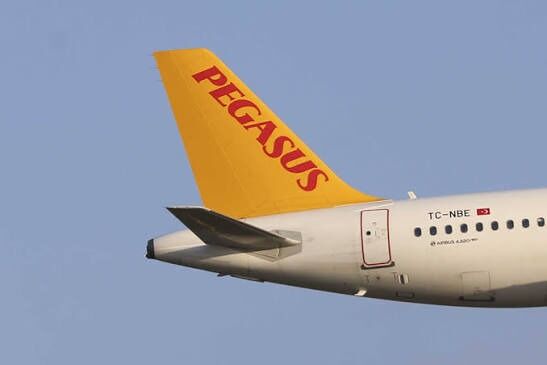Pegasus