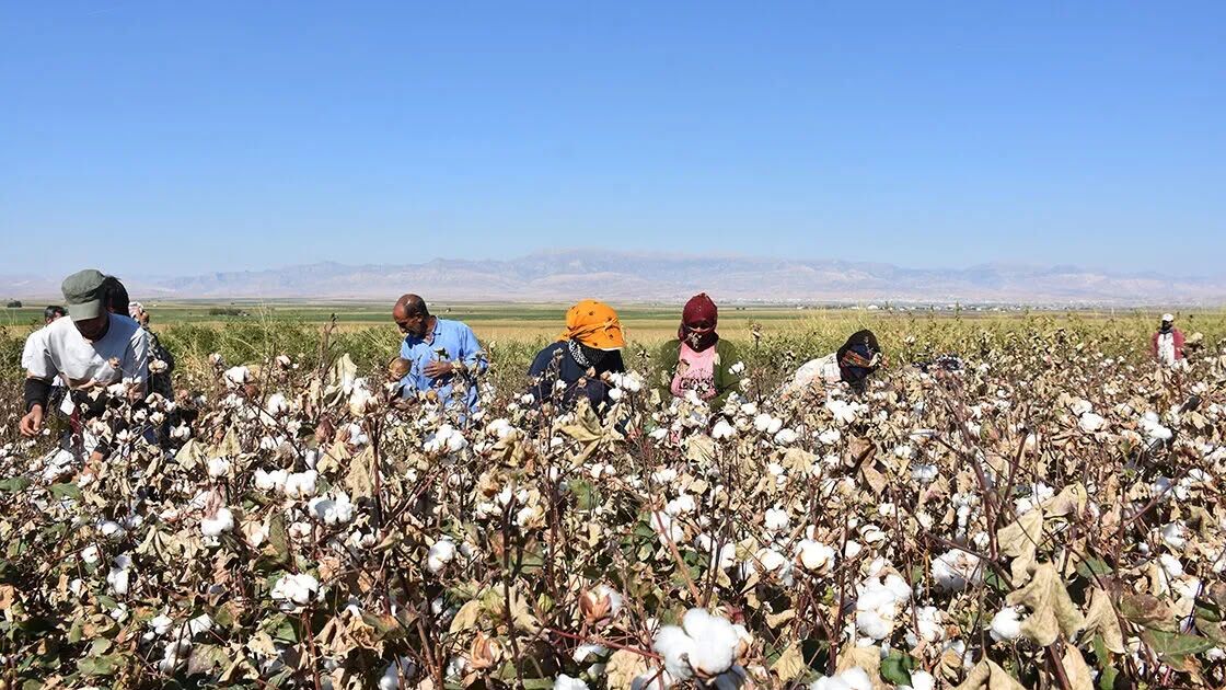 Sektör Yapısal Sorunlarına Çözüm Arıyor (2)