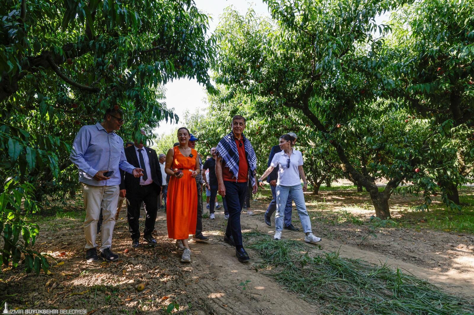 Selçuk'ta Şeftali Kokulu, Rengarenk Şenlik! (1)